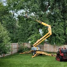 Best Tree Preservation Services  in Sharpsville, PA